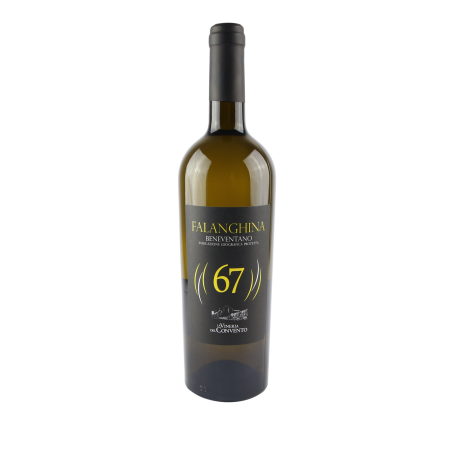 Falanghina